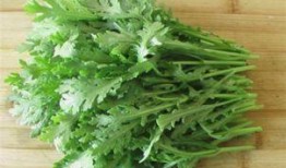 蒿瓜怎么吃,探索健康美味的蒿瓜烹饪技巧