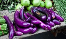 和马嘉茄一起吃瓜,一场美食与娱乐的跨界盛宴